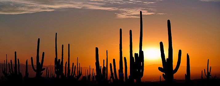 Desert Dweller Energy Efficiency