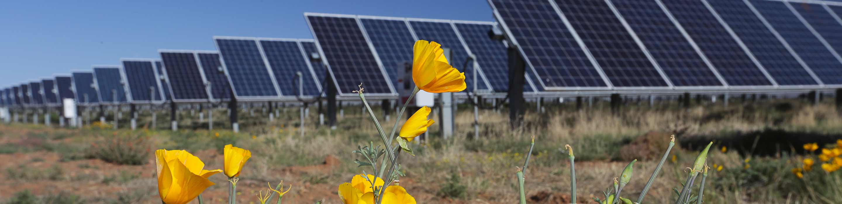 01-header-images_community-solar 01-header-images_community-solar