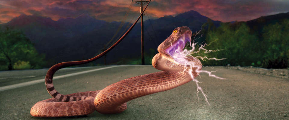 Safety-Snake2 Dangerous snake