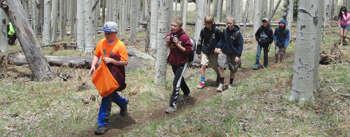 Kids hiking on Arizona Trail