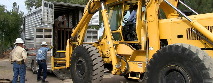 Unloading rhino at zoo