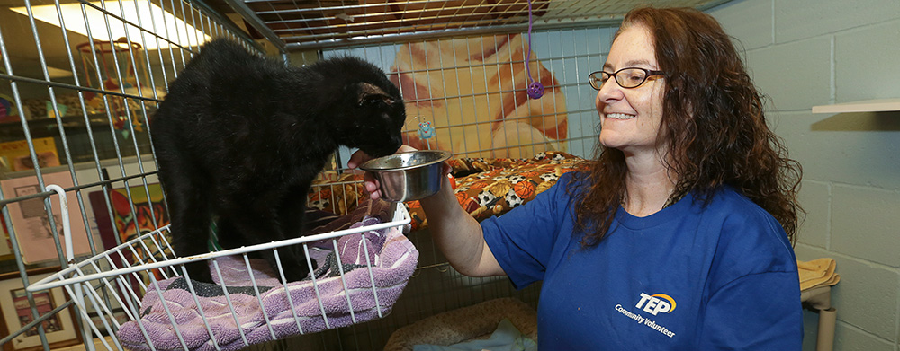 TEP employee feeding a cat