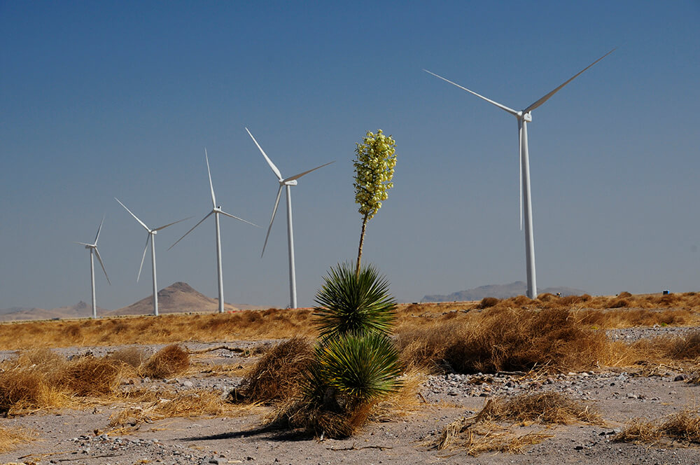 Macho Springs wind