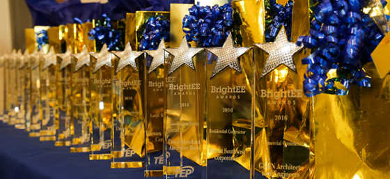 Tucson Electric Power: 8. BrightEE Awards