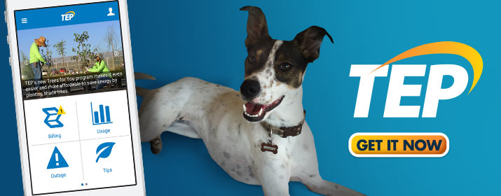 Mobile App banner with dog