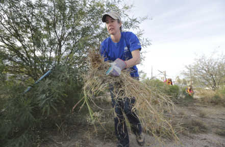Tucson Electric Power: 98. Eradicating Buffelgrass