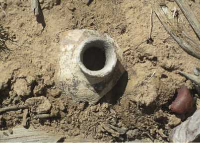 Tucson Electric Power: 90. Resource Preservation