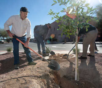 Tucson Electric Power: 89. Planting Trees