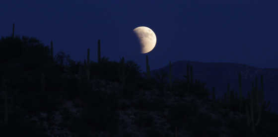 Tucson Electric Power: 125. Luminaria Nights