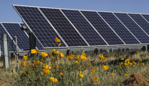 Tucson Electric Power: 59. Bright Tucson Community Solar