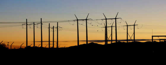 Tucson Electric Power: 46. Grid: By the Numbers