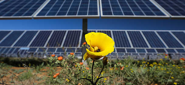 Red Horse Solar Array