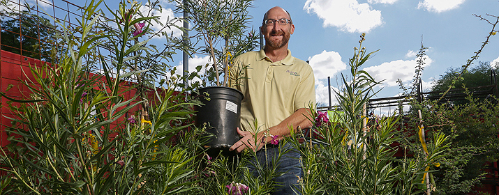 Nursery business owner with trees