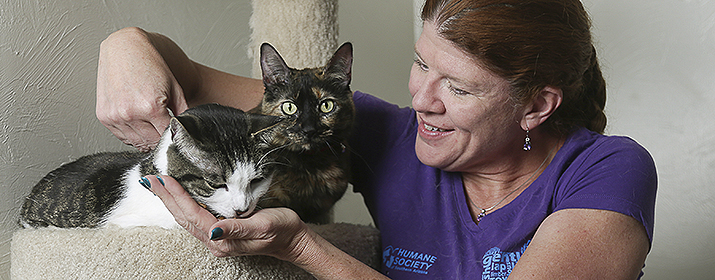 TEP employee with cats