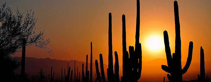 Desert Sunrise