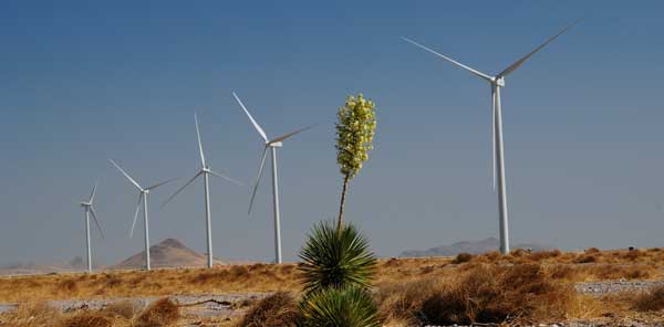 Large wind farm