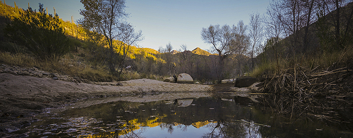 Sabino Canyon at sunrise