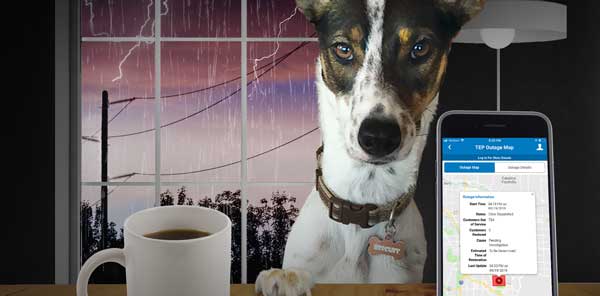 Dog inside with coffee and TEP mobile app