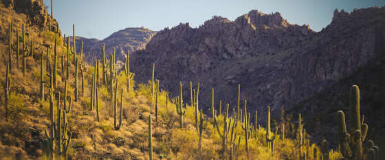 Tucson Electric Power: 2026 Integrated Resource Plan