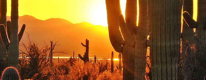 Tucson Electric Power: Building Heat Resiliency in Our Community