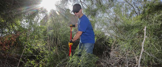 Tucson Electric Power: Environmental Stewardship