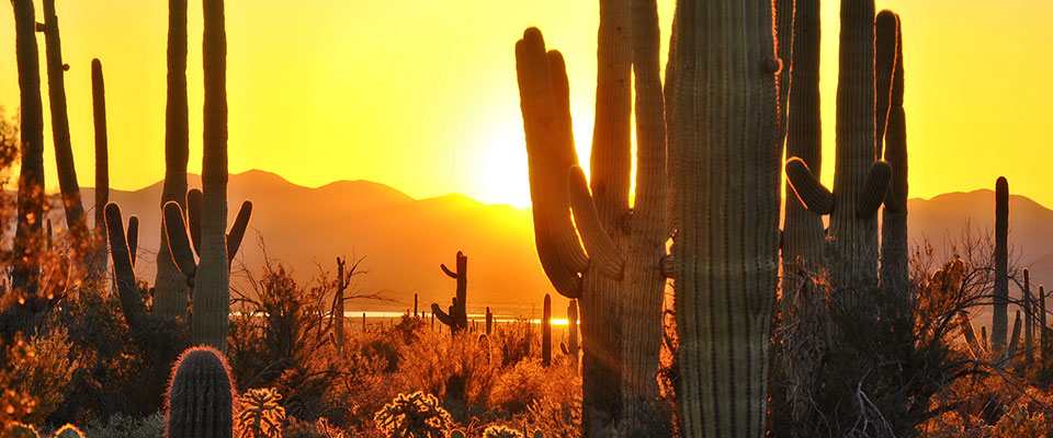 exploring-new-nuclear-in-arizona