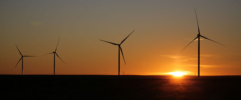 Oso Grande Wind at Sunset