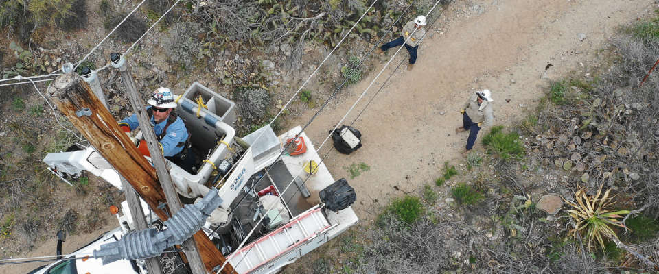 lineman-homepage