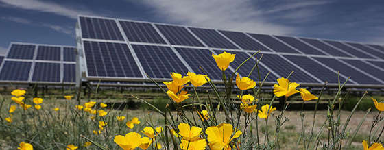 Tucson Electric Power: Power Your Home with Fixed-Rate Solar