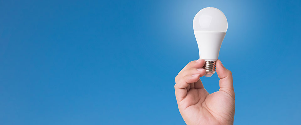 tep-marketplace-bulb tep-marketplace-bulb