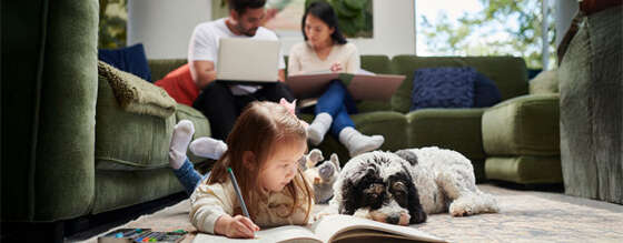 Tucson Electric Power: Rate Proposal At-a-Glance